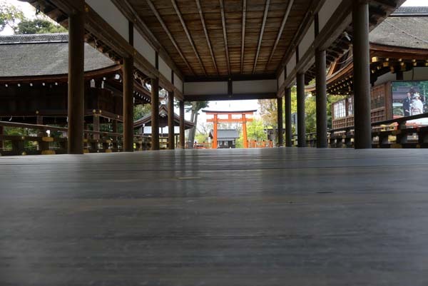 緑がいっぱい　上賀茂神社_e0048413_22092121.jpg