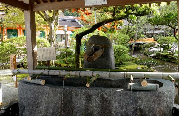 緑がいっぱい　上賀茂神社_e0048413_22093274.jpg