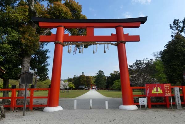 緑がいっぱい　上賀茂神社_e0048413_22094124.jpg