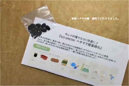 一緒にヘチマ育てませんか? _e0343145_10545684.jpg