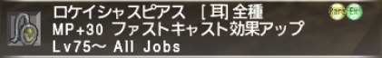 続:何を集めればいいの?! ファストキャスト装備_e0401547_19370590.png