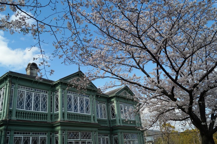 旧ハンター住宅と桜 @神戸市灘区王子公園_b0063958_14510009.jpg