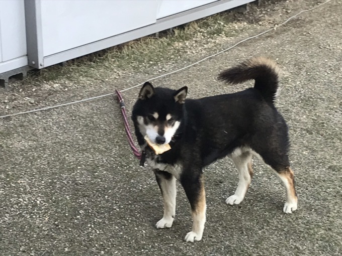 食べて(お料理)応援できるなら_b0100062_19374750.jpeg