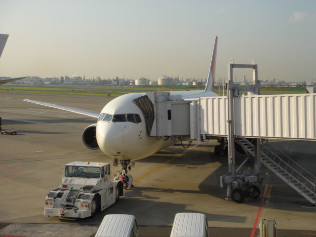 しろまにあ_c0100865_07320318.jpg