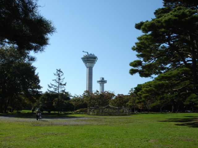 しろまにあ_c0100865_07322470.jpg