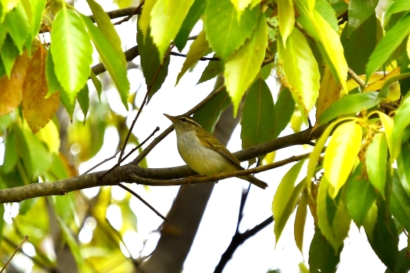 南公園 _c0164881_00205986.jpg