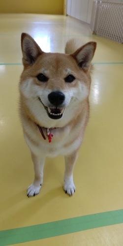 だぁ~れだ?&るんるん🎵_f0357682_10485902.jpg