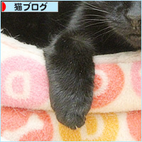 ヒナの風邪_a0389088_06334476.jpg