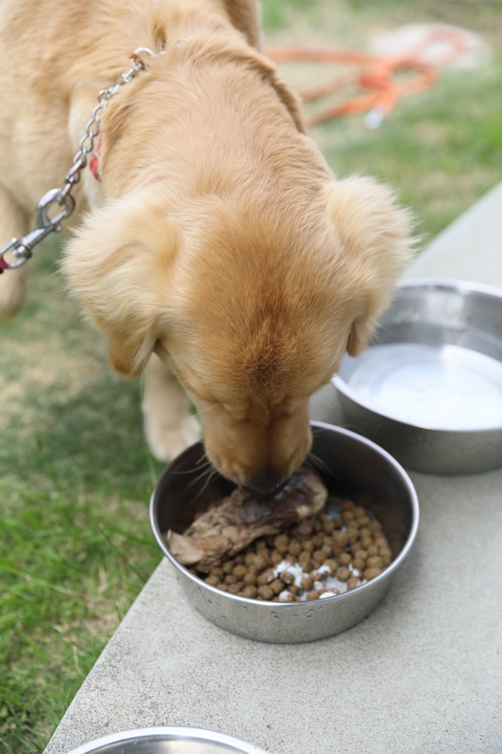 美味しいものは最初に食べる?_b0275998_19595694.jpg