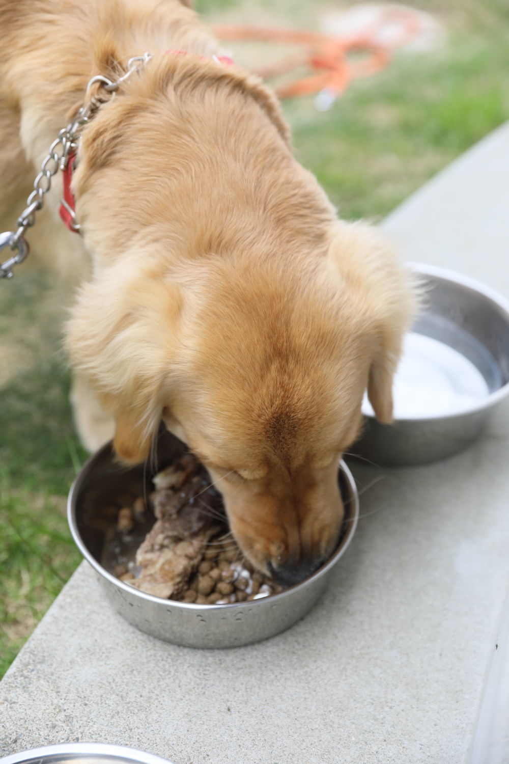 美味しいものは最初に食べる?_b0275998_20000311.jpg