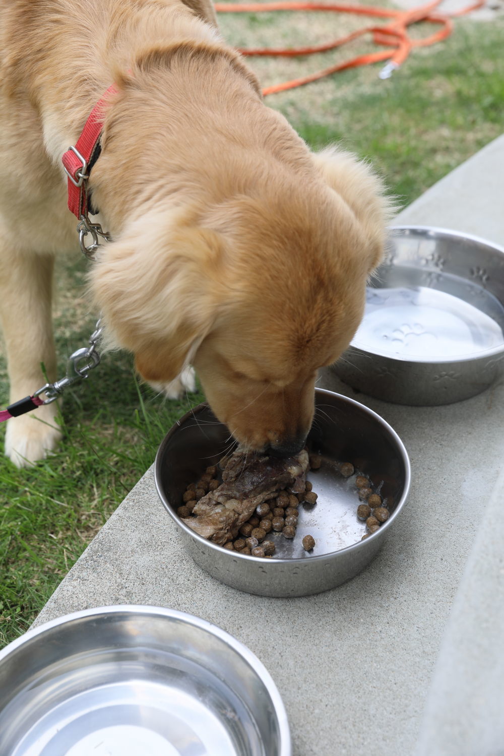 美味しいものは最初に食べる?_b0275998_20001083.jpg