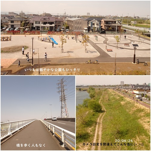 Stay Home 週間_c0051105_11133981.jpg