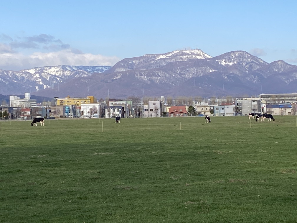 2020年4月『北海道にコロナと春が来た』 April 2020 \"Spring and COVID-19 have come in Hokkaido\"_c0219616_21165476.jpg