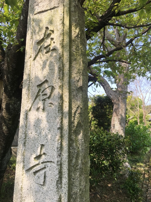 お寺の掃除_b0220318_18444103.jpg