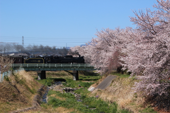 桜 PlayBack ~列車とのコラボ~_b0369971_10484403.jpg