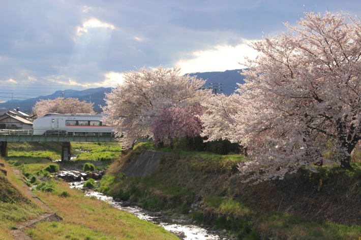 桜 PlayBack ~列車とのコラボ~_b0369971_10510568.jpg