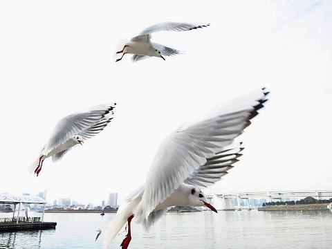 いつでも、どこでも、写真教室の日。_b0141773_22494295.jpg