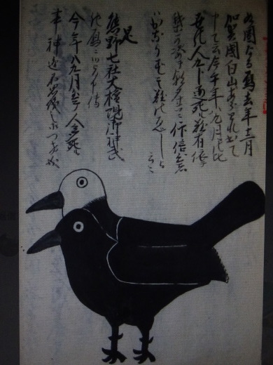 アマビエ 予言の鳥 そして 絵本作家 仁科幸子 アマビエ 予言の鳥 そして 絵本作家 仁科幸子