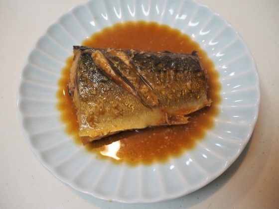 ちくわと鯖の味噌煮_a0258686_21172963.jpg