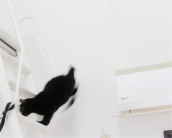 いたずらイレーネ_a0389088_08131449.jpg
