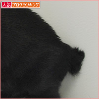 いたずらイレーネ_a0389088_08131454.jpg