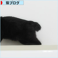 いたずらイレーネ_a0389088_08131498.jpg