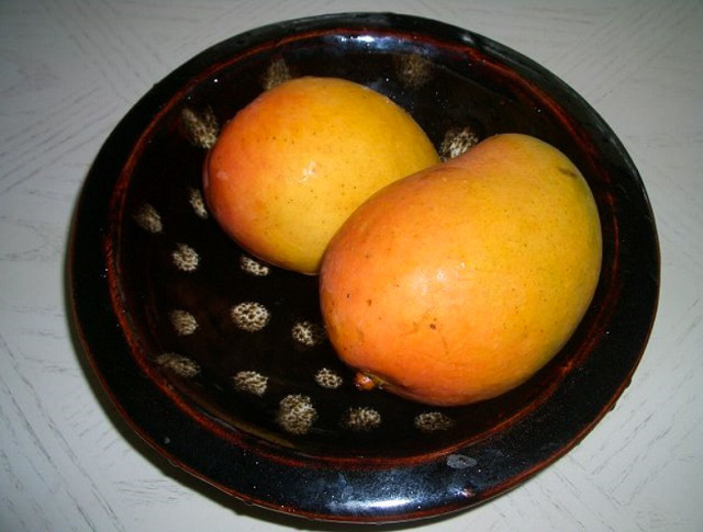 同じ釜の 熱 を食った仲_f0346196_16550599.jpg