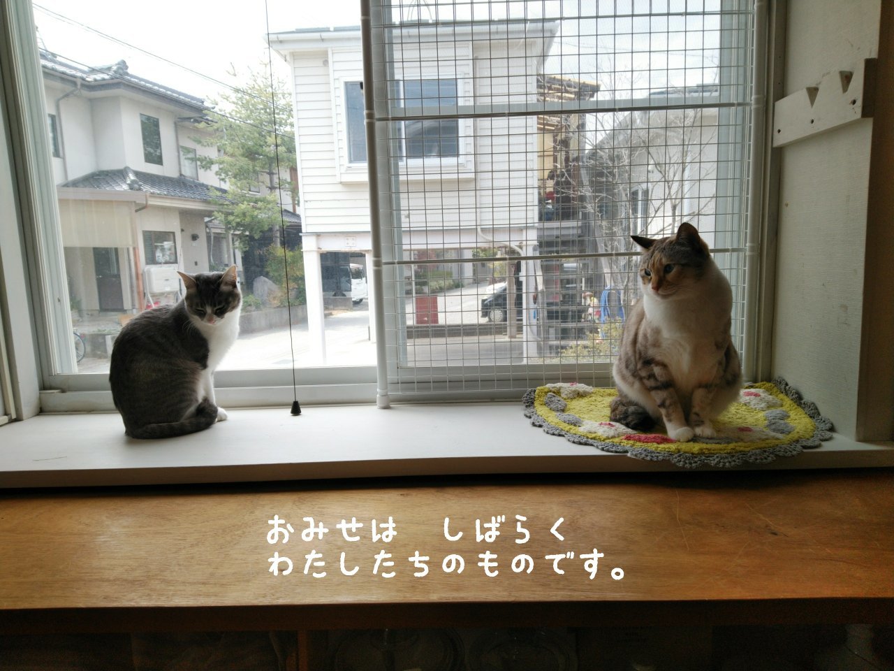 5月も休業です。_f0255704_12113843.jpg