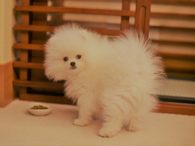 病院デビュー_d0360206_00312006.jpg
