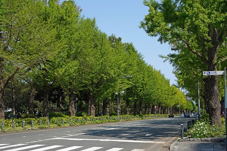 横浜・山下公園付近を歩く_a0151913_17172160.jpg