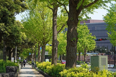 横浜・山下公園付近を歩く_a0151913_1717368.jpg