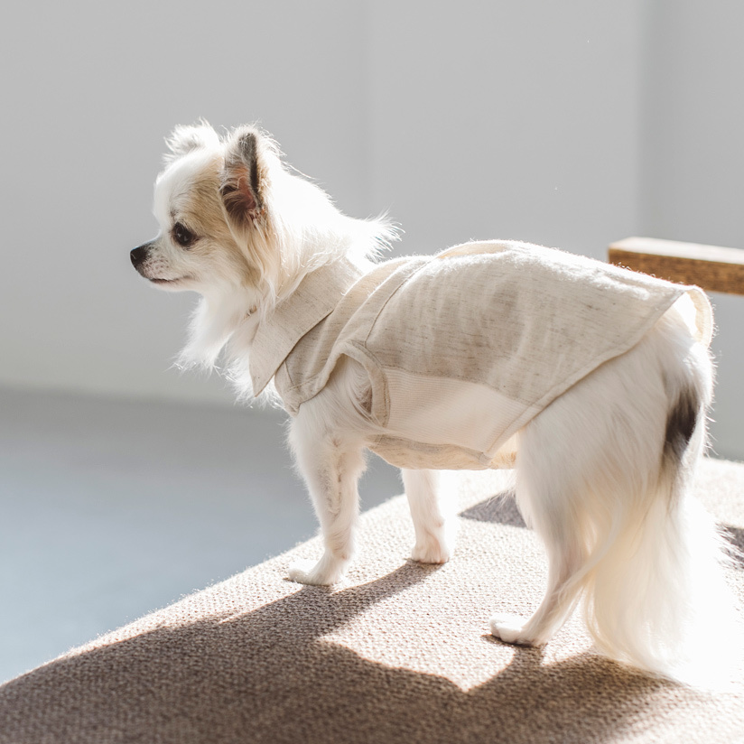 ☆ New Dog Wear ☆_d0060413_14084559.jpg