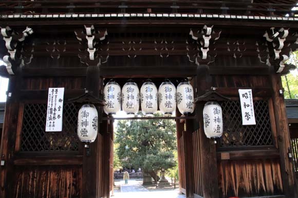 イチハツが盛り 御霊神社_e0048413_20315942.jpg