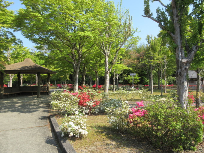 紫水ヶ丘公園_d0154954_15501291.jpg