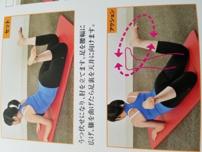筋トレ と仙骨枕体操 続 ファンタスティックな日々