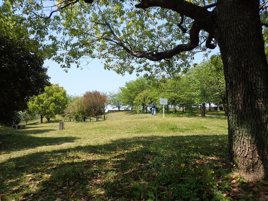 近くの河川敷公園_b0116656_15464733.jpg