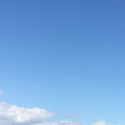 良いお天気の日にー木部のメンテナンス_f0064884_13561068.jpg