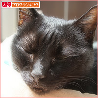 ヒナ、また場所を取る_a0389088_00250232.jpg