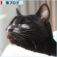 ヒナ、また場所を取る_a0389088_00250239.jpg