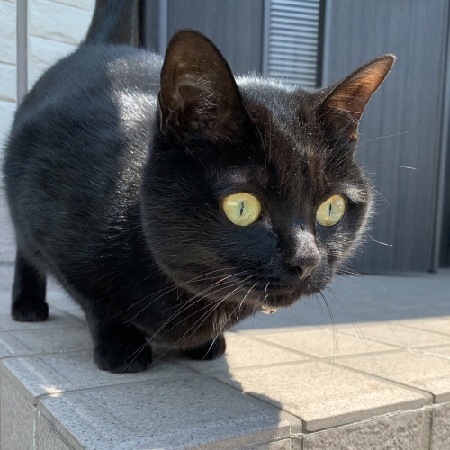 マメだって❣️&#127925;_e0358096_20182574.jpeg