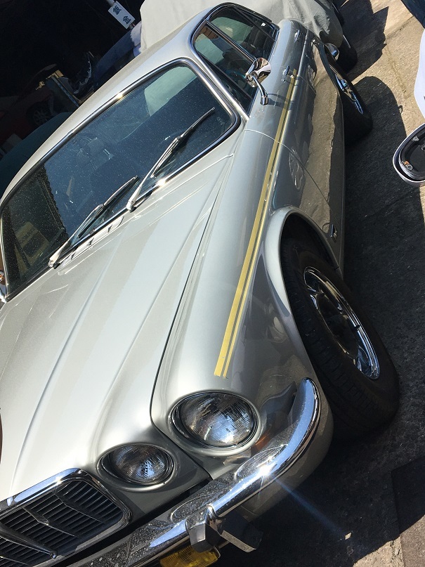 ピンストライプ アイマグブログ ルノー松山 森 幸之助 ピンストライプ アイマグブログ ルノー松山 森 幸之助