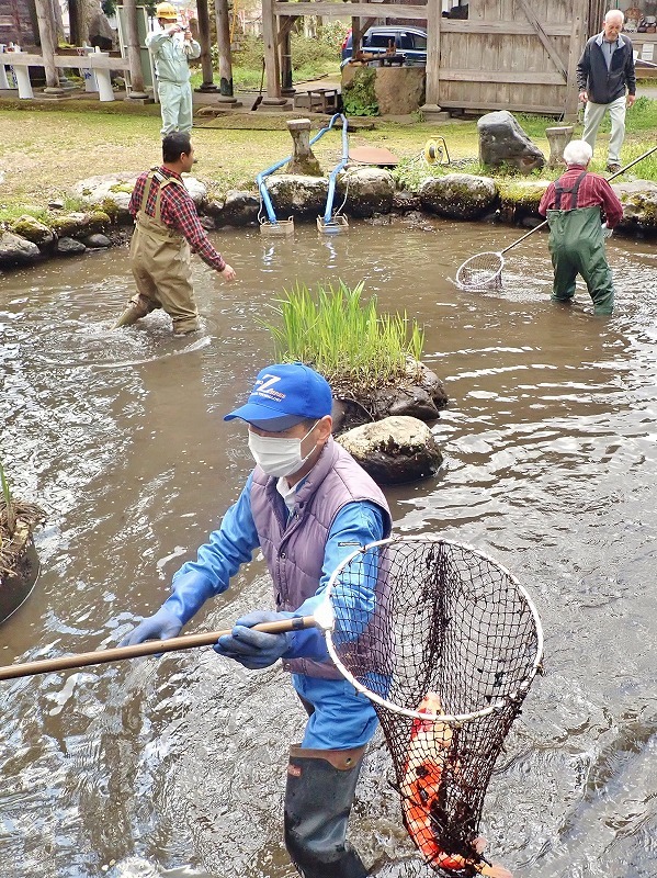 28日には毘沙門堂の池で\"鯉上げ\"をしていました_c0336902_20385880.jpg
