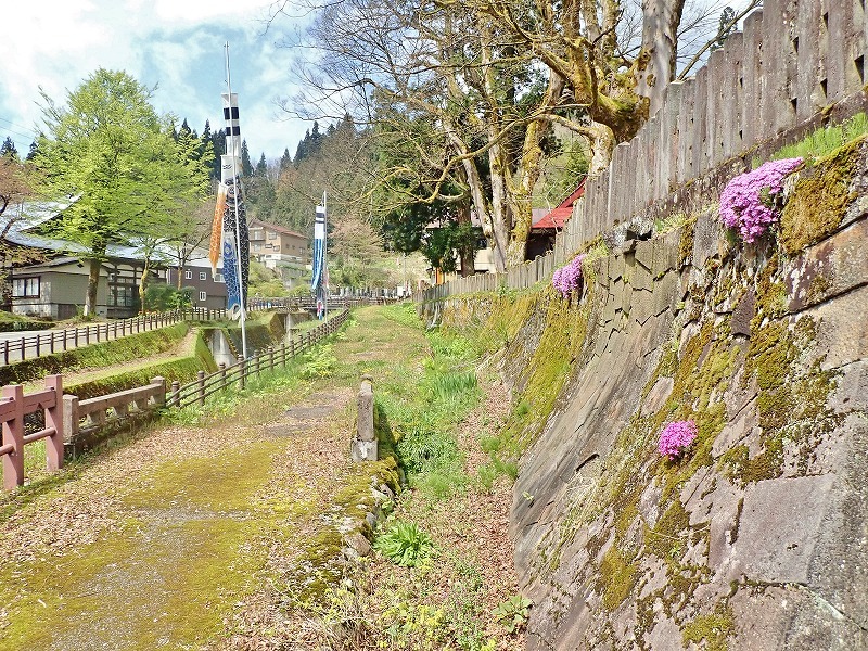 28日 会館周辺を\"春散歩\"です_c0336902_20560799.jpg