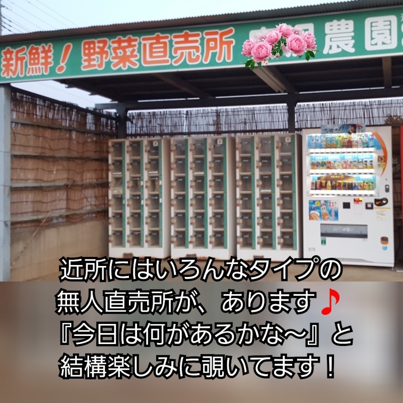涙。泣くのはストレス発散かな。_f0138311_00384199.jpg