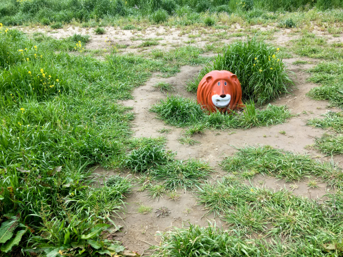 【号外】獅子太郎 半年点検_f0203027_11502787.jpg
