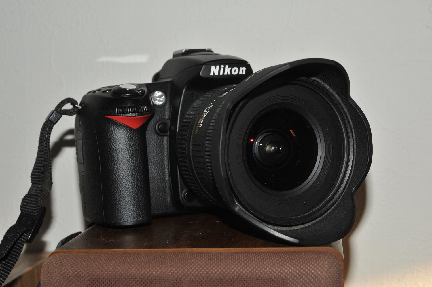 SIGMA 10-20mm で ミミちゃん を_b0069128_08034704.jpg