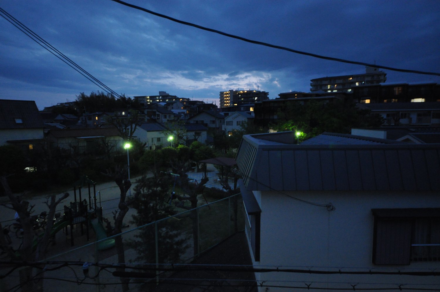 SIGMA 10-20mm で ミミちゃん を_b0069128_08042475.jpg