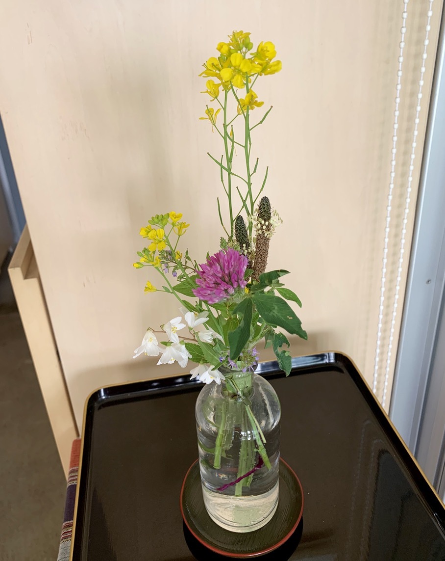 野の花。:コロナな日々。_f0372146_10042088.jpg
