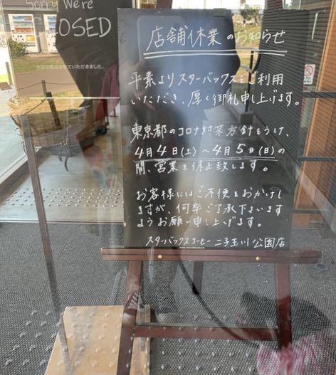 野の花。:コロナな日々。_f0372146_10091069.jpg