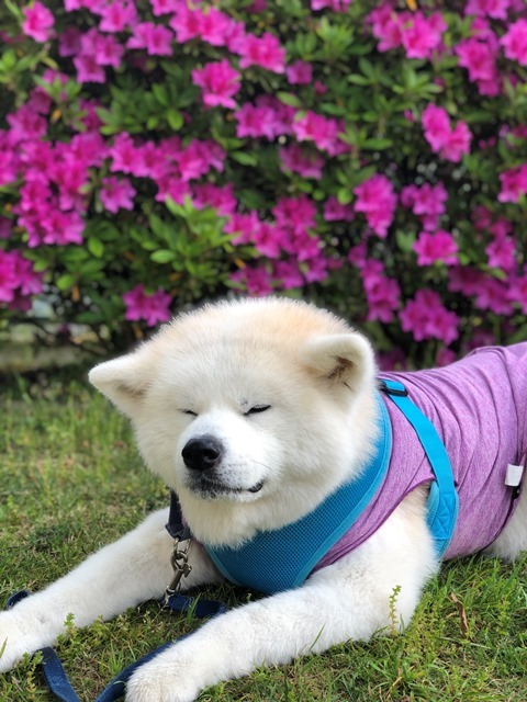 写真っていいな^^_c0257276_19522260.jpg